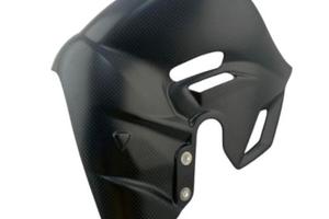 Paracalore carbonio Ducati Panigale Streetfighter