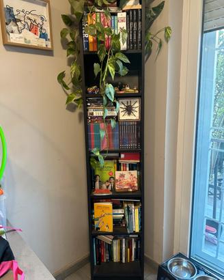 Libreria Billy  ikea
