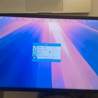 Monitor usbc 17”