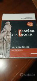 In pratica e in teoria