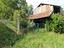Immagine 28