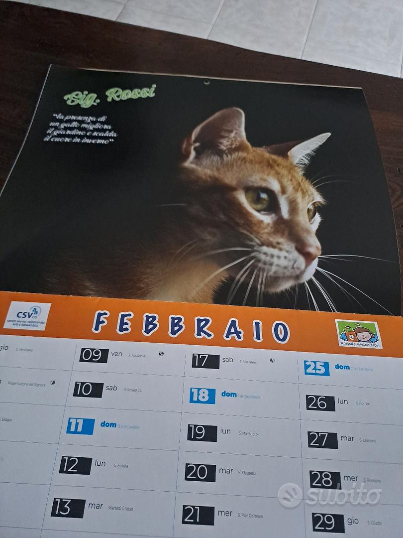 Calendario 2024 con foto di Gatti - Libri e Riviste In vendita a Alessandria