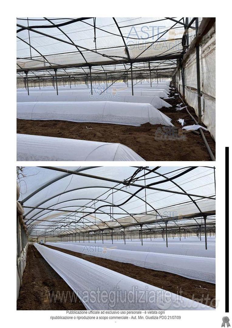 Terreno Agricolo Anzio [A4342486] - Altro