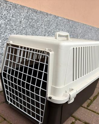 trasportino per animali