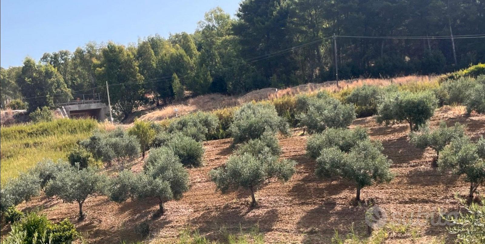 Terreno agricolo non edificabile - Vista 3