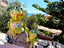 Immagine 10