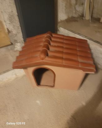 cuccia cane