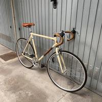 Bicicletta Fixie