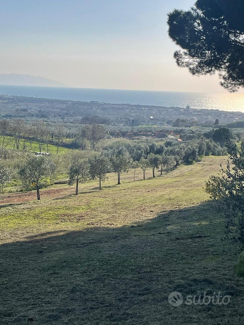 Annesso e terreno agricolo a san vincenzo - Altro