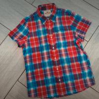 camicia Hollister taglia XL 