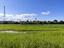 Immagine 27