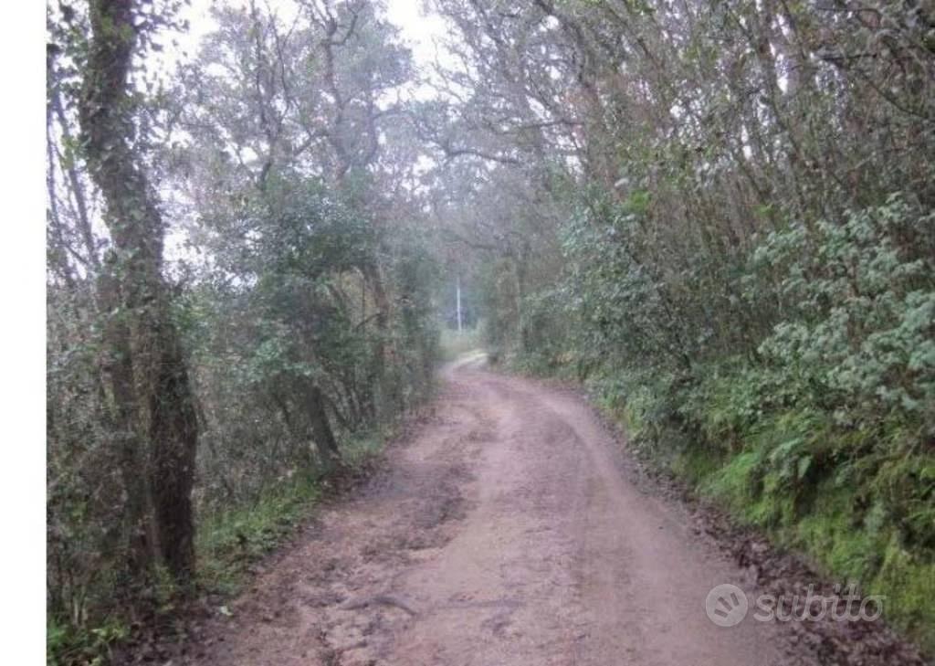 Immobile in asta di 22900 m² a Tempio Pausania - Vista 3