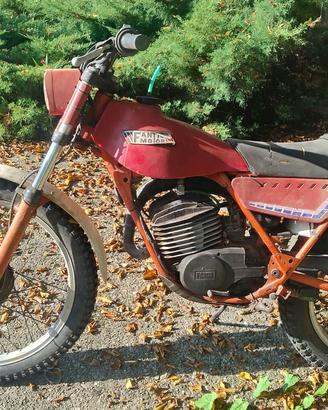 FANTIC TRIAL 125 MOD. TX250