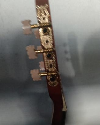chitarra