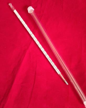 Termometro –15/+150°C con custodia rigida (26 cm)