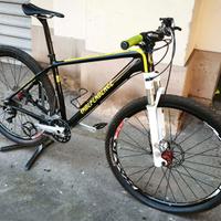 MTB Mountain Bike Carbonio