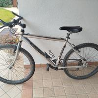 bicicletta MTB meichioretto