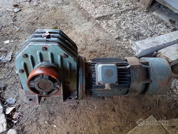 Argano e pompa acqua per vigne