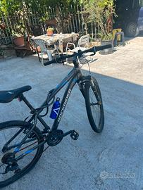 Bicicletta da