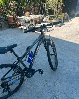 Bicicletta da