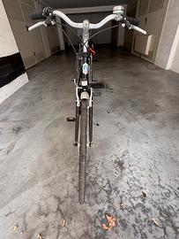 Bici da uomo