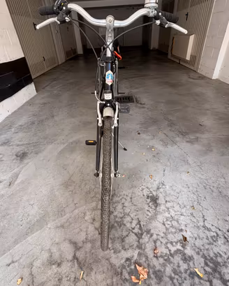 Bici da uomo