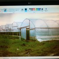 Serra per la coltivazione di ortaggio