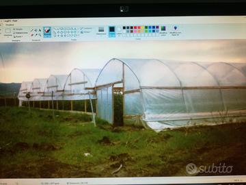 Serra per la coltivazione di ortaggio