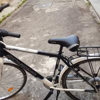 Bicicletta classica da uomo