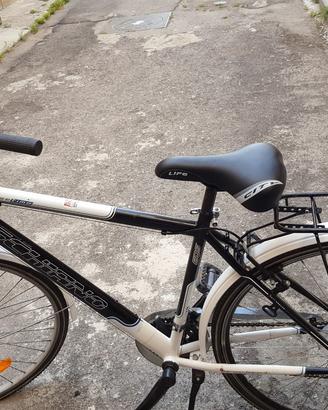 Bicicletta classica da uomo