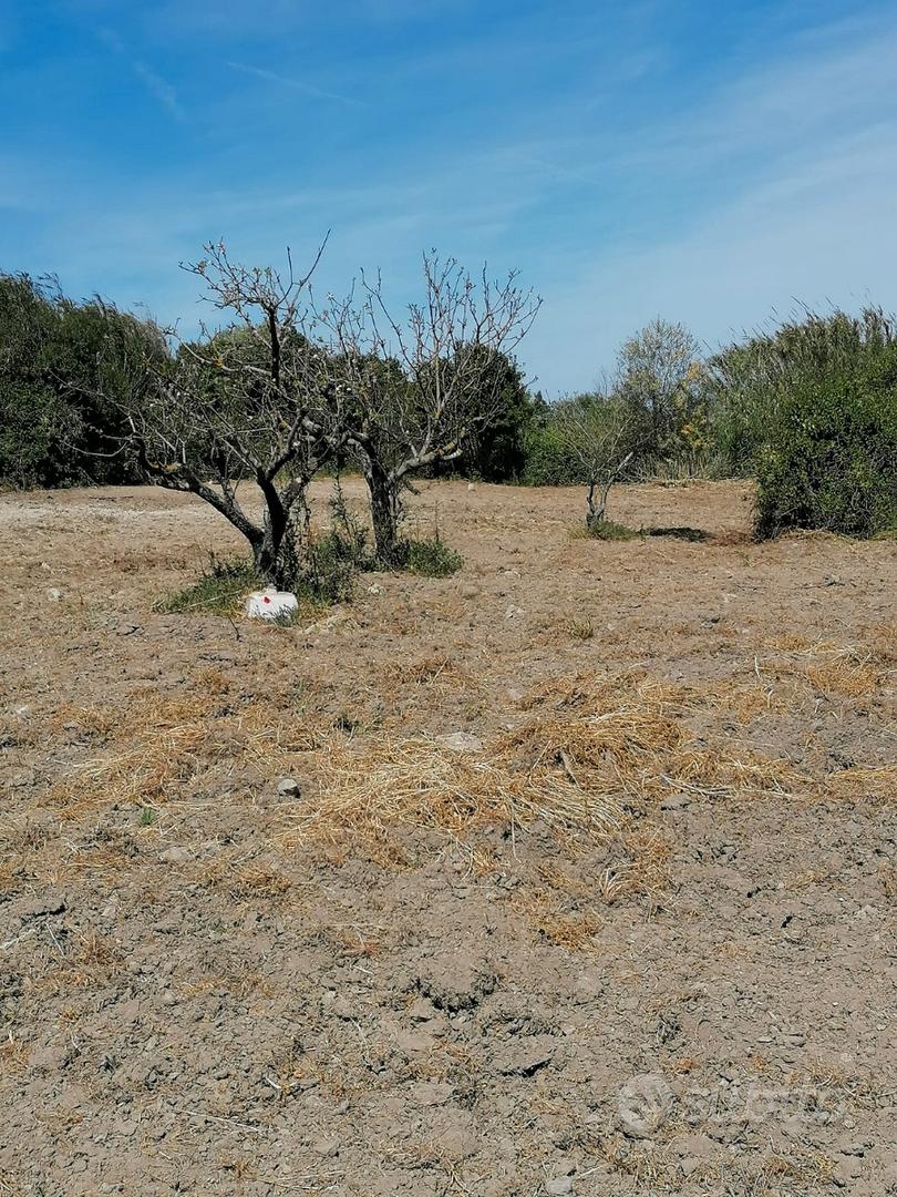 Terreno agro a Sorso - Vista 4