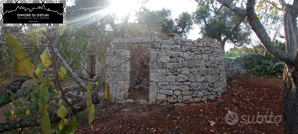 CASOLARE CON TRULLO SARACENO e LAMIA - OSTUNI - Vista 4