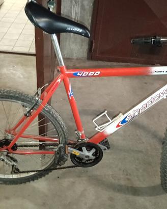 bicicletta 