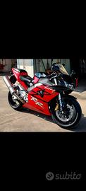 Cbr 954rr 
