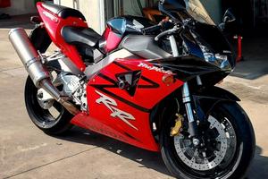 Cbr 954rr 