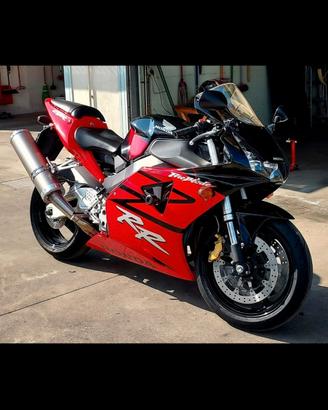 Cbr 954rr 