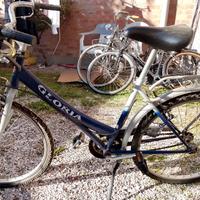 bicicletta blu
