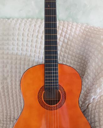 Chitarra EKO da studio 