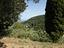 Immagine 10
