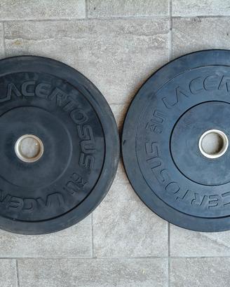 Dischi bumper palestra