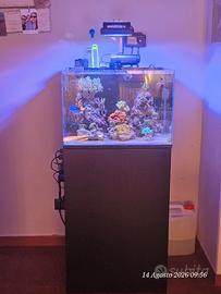 acquario marino all in one 100 litri  completo 