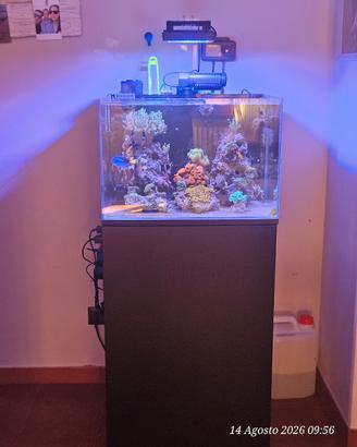 acquario marino all in one 100 litri  completo 