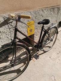 bici donna 26 