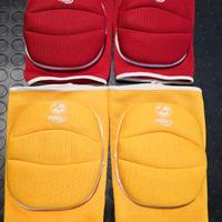 GINOCCHIERA PALLAVOLO