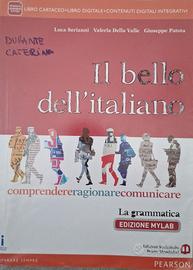 Il bello dell'italiano. La grammatica.