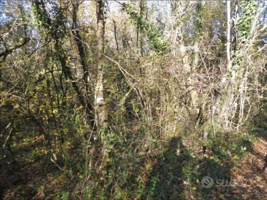 Immobile in asta di 147105 m² a Terranuova Braccio - Vista 3