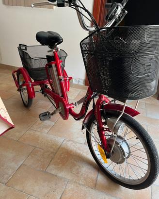 Bicicletta a tre ruote
