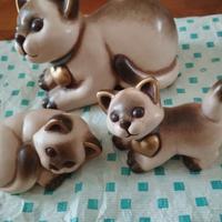 Gattini Siamesi Thun 