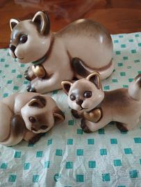 Gattini Siamesi Thun 