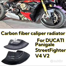 Ducati Streetfighter/Panigale v2/v4
